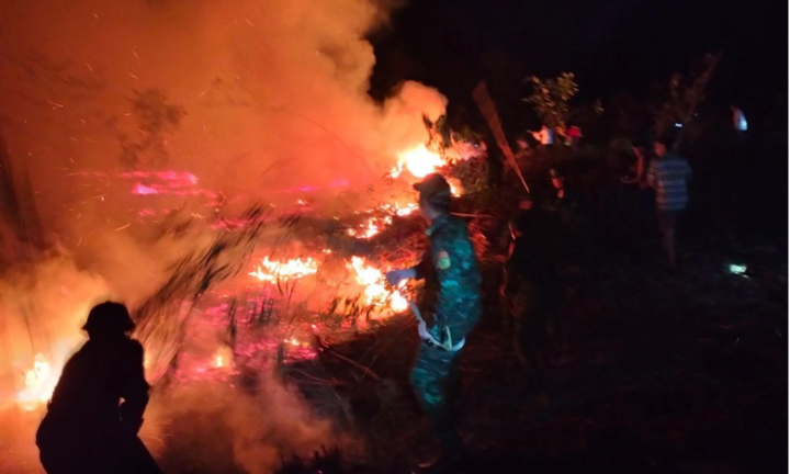 Nguyên nhân vụ cháy rừng tràm ở Thừa Thiên – Huế