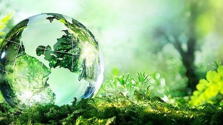 Hạnh phúc từ lối sống tinh khiết 