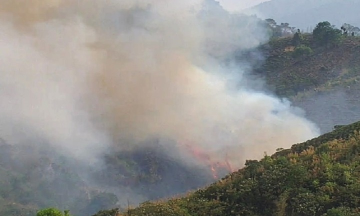 Lâm Đồng: Chưa khống chế được đám cháy rừng ở Bảo Lộc