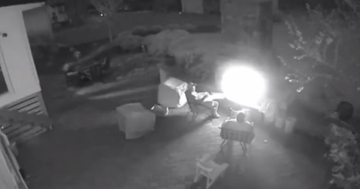 Cây lớn bất ngờ đổ xuống, hai người đàn ông thoát chết trong gang tấc 