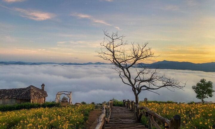 Du lịch Đà Lạt 3 ngày 2 đêm: Chi phí bao nhiêu là đủ?