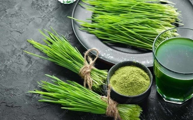 Mách bạn những lợi ích đáng kinh ngạc của cỏ lúa mì không nên bỏ qua