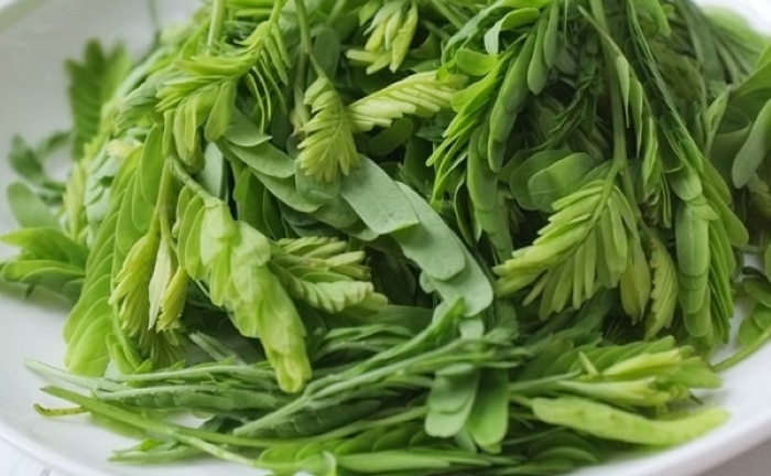 Những lợi ích của nước lá me đối với sức khỏe không phải ai cũng biết