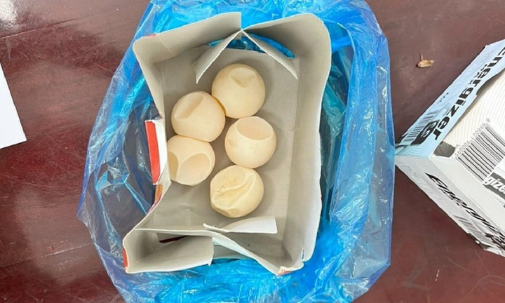 Mua trứng rùa biển trái phép, mẹ chồng nàng dâu bị phạt hơn 1 tỷ đồng