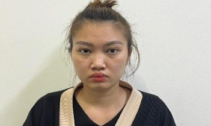 Hà Nội bắt giữ 