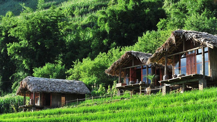 Lợi ích khi thuê homestay khi đi du lịch?