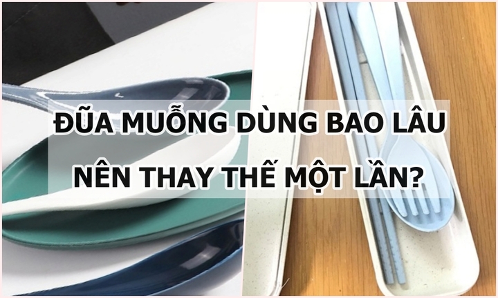 Đũa, muỗng dùng bao lâu nên thay mới một lần?