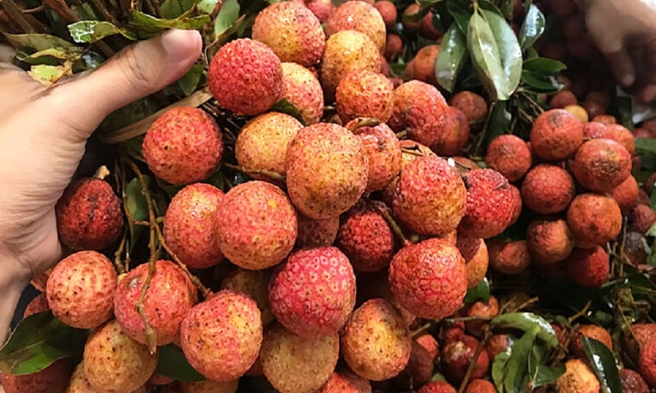 Mất mùa, giá vải thiều Tây Nguyên cao ngất ngưởng