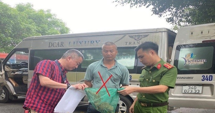 Bắt quả tang nam tài xế vận chuyển 2 cá thể culi từ Khánh Hòa ra Hà Nội tiêu thụ