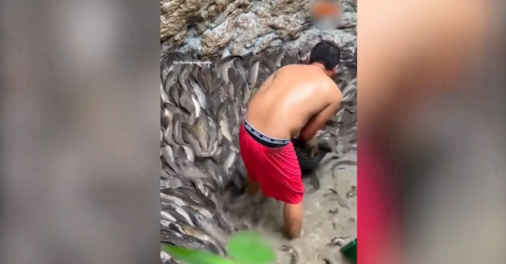 Người đàn ông thảnh thơi lựa cá mà không lo chúng chạy mất