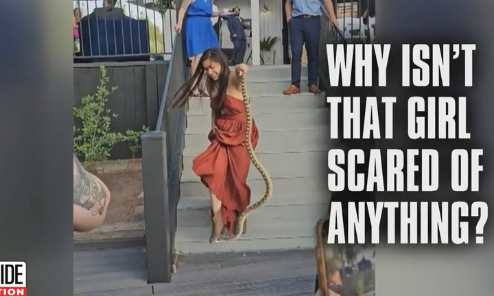 Video: Rắn xuất hiện trong đám cưới và hành động bất ngờ của em gái cô dâu