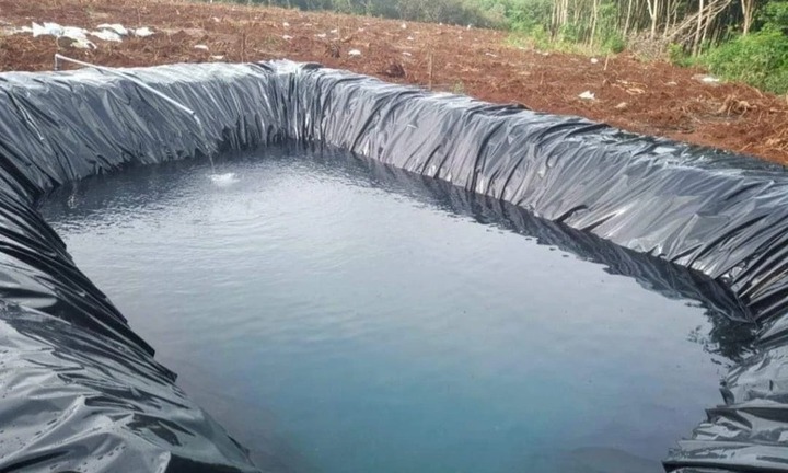 Bé 3 tuổi rơi xuống hồ chứa nước tưới sầu riêng, tử vong thương tâm