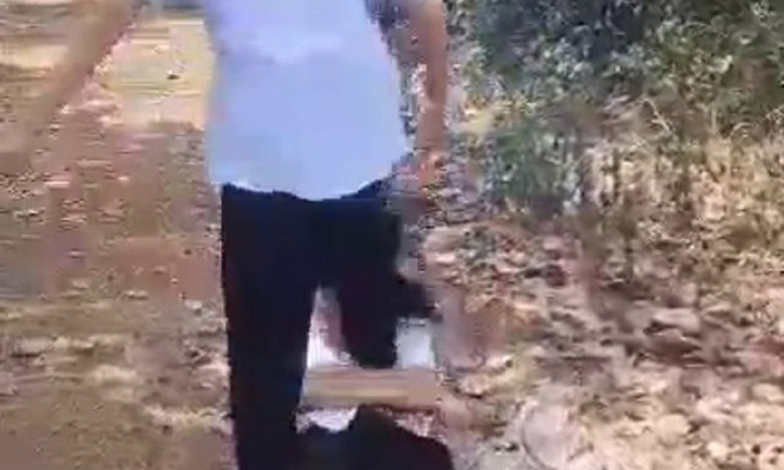 Làm rõ vụ nữ sinh lớp 7 bị nhóm bạn học hành hung, lột quần áo