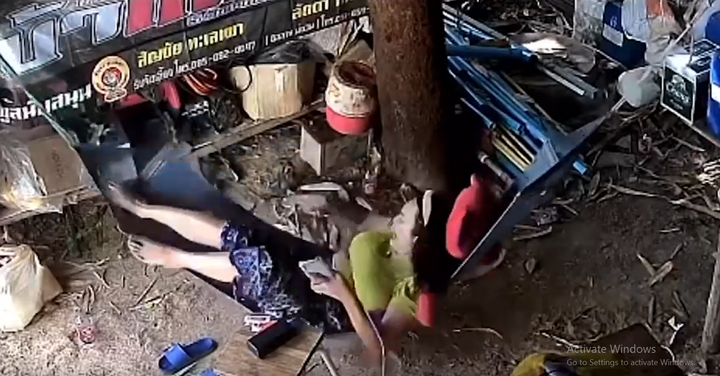 Đang nằm võng đu đưa, cô gái hốt hoảng khi bị rắn nhảy thẳng vào người