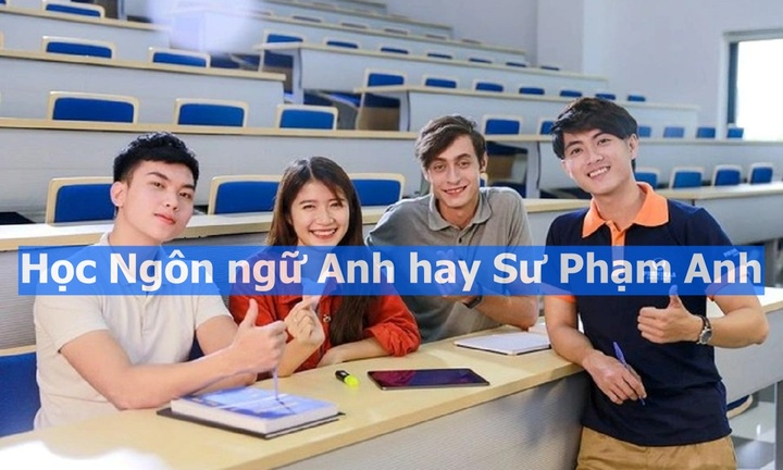 Học Ngôn ngữ Anh hay Sư Phạm Anh? Lựa chọn nào phù hợp năm 2024?