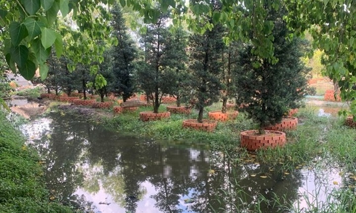 Cha tá hỏa phát hiện con trai 3 tuổi tử vong dưới ao nước