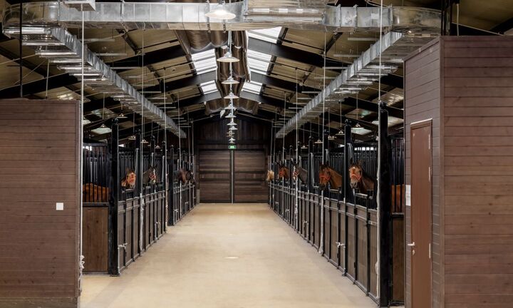 Vì sao điểm đến “hot trend” mùa hè 2024 gọi tên Vũ Yên?