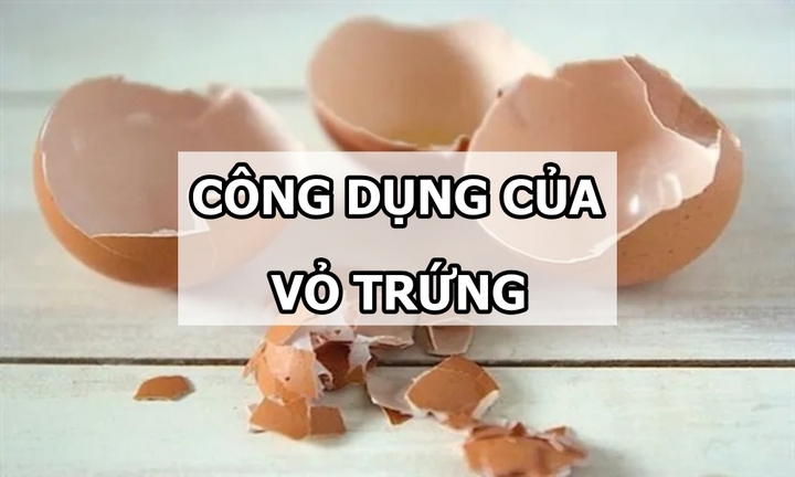 Những công dụng tuyệt vời của vỏ trứng không phải ai cũng biết