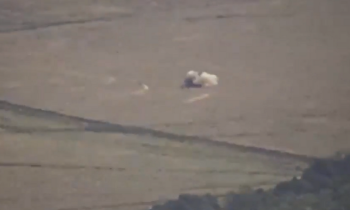 Hệ thống phòng không Tor-M2 bị UAV Ukraine bắn cháy giữa cánh đồng trống