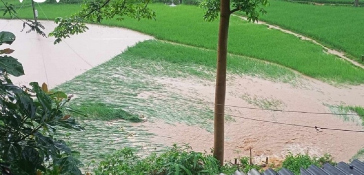 Mưa lớn, người phụ nữ Sơn La đi chăn bò bị lũ cuốn trôi 