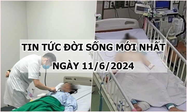 Tin tức đời sống ngày 11/6/2024: Bị rắn cắn, bé gái hôn mê, suy hô hấp nặng