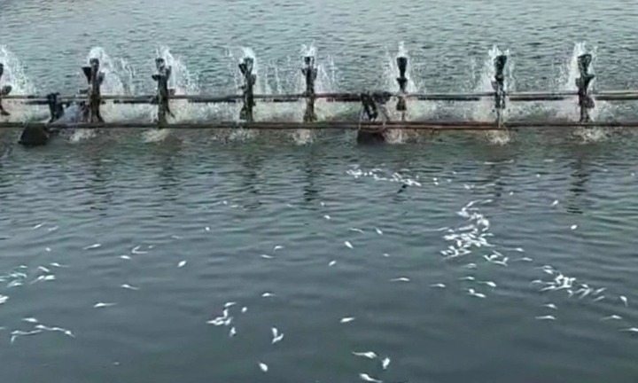 Tin thời sự mới nhất ngày 11/6: Diễn biến vụ rơi cánh quạt điện gió ở Bạc Liêu 