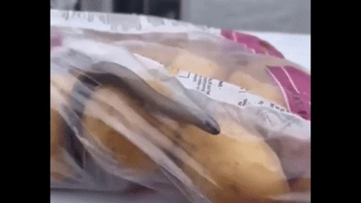 Cả gia đình la hét thất thanh khi nhìn thấy thứ đáng sợ trong túi khoai tây