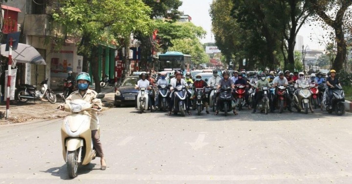 Dừng đèn đỏ dưới bóng cây có thể bị phạt