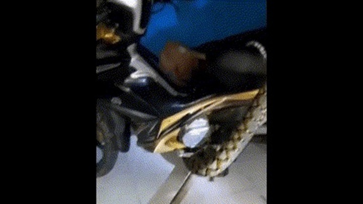 Kinh hãi chứng kiến trăn khổng lồ dài gần 5m quấn chặt lấy xe máy