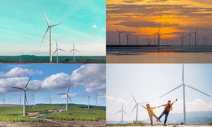 8 cánh đồng quạt gió đẹp nức lòng tại Việt Nam
