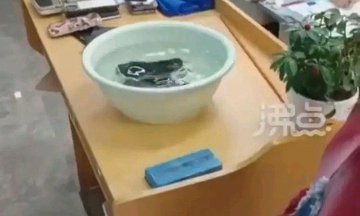  Giáo viên bắt học sinh 
