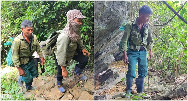 Vụ người đàn ông đi bắt ốc mất tích: Huy động chó săn vào rừng tìm kiếm