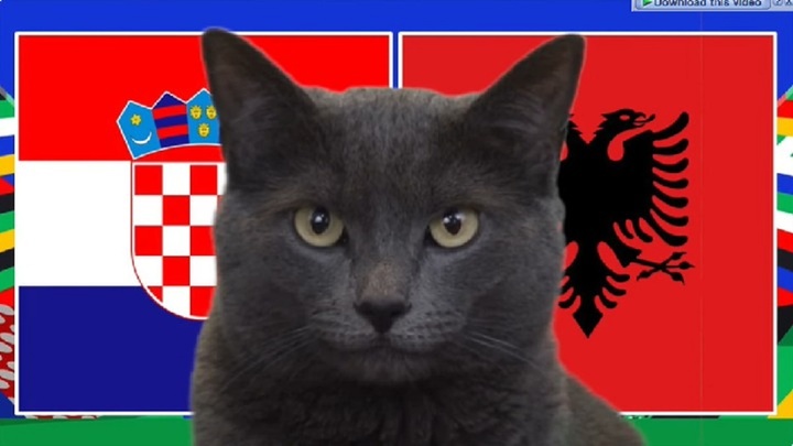 Nhận định trận Croatia vs Albania EURO 2024 20h ngày 19/6: Mèo tiên tri chọn ai?