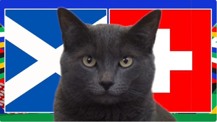 Nhận định Scotland - Thụy Sĩ: Mèo tiên tri và đại bàng cùng “suy nghĩ”