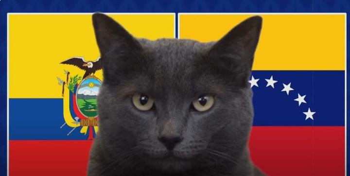 Nhận định trận Ecuador vs Venezuela, Copa America 2024 5h ngày 23/6: Mèo Cass chọn Ecuador
