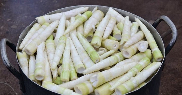 Cách loại bỏ độc tố trong măng tươi nhất định bà nội trợ phải biết