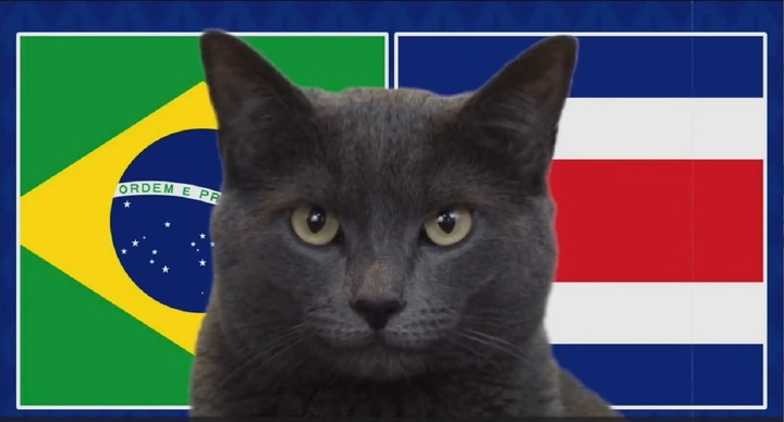 Nhận định trận Brazil vs Costa Rica, Copa America 2024 8h ngày 25/6: Mèo Cass chọn Selecao