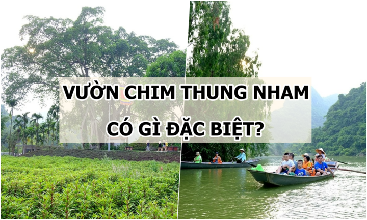 Bật mí những điều đặc biệt chỉ có ở Vườn chim Thung Nham