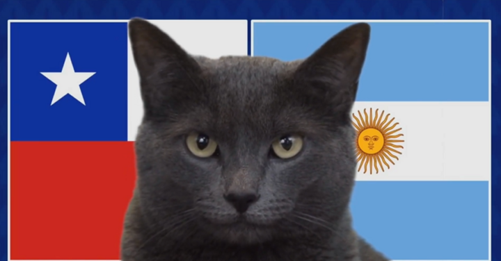 Nhận định trận Chile vs Argentina, Copa America 2024 8h ngày 26/6: Liệu mèo Cass có đúng?