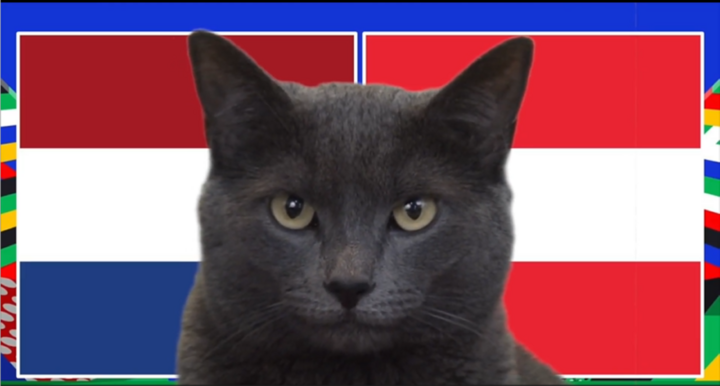 Nhận định trận Hà Lan vs Áo, EURO 2024 23h ngày 25/6: Mèo tiên tri khiến NHM “thót tim”