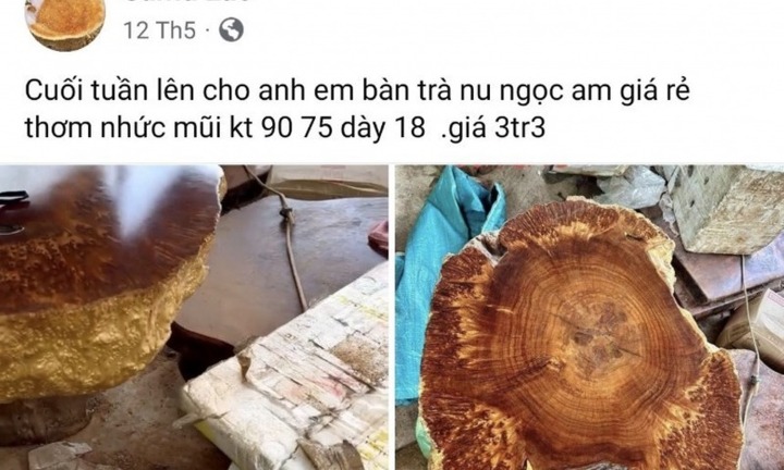 Bí mật của