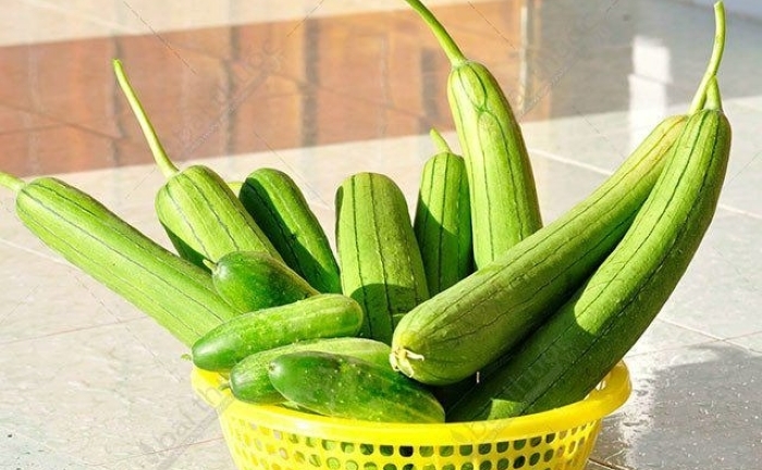 Mua mướp nên chọn quả thẳng hay cong?