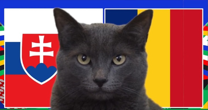 Nhận định trận Slovakia vs Romania, EURO 2024 23h ngày 26/6: Mèo Cass dự đoán bất ngờ