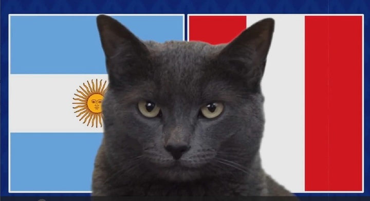 Nhận định trận Argentina vs Peru, Copa America 2024 7h ngày 30/6: Mèo Cass tiên tri như thần