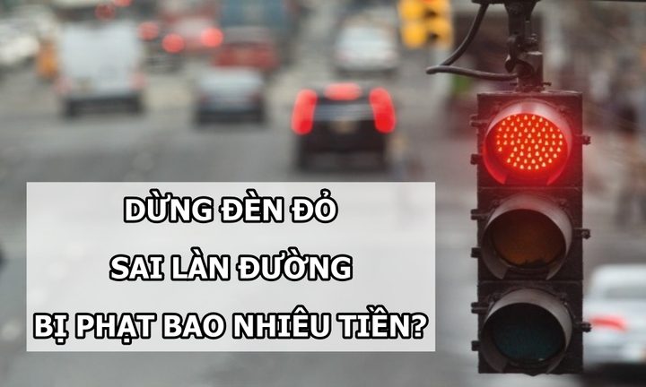 Dừng đèn đỏ sai làn đường sẽ bị phạt tiền bao nhiêu chuẩn nhất, chính xác nhất