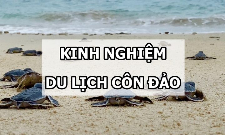 Review kinh nghiệm du lịch Côn Đảo chi tiết cho người mới đi lần đầu