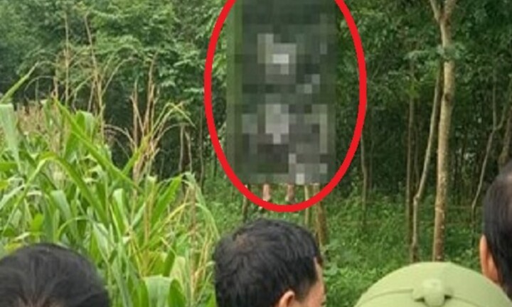 Yên Bái: Phát hiện hai người treo cổ tự tử trên đồi cây