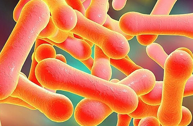 Chủ tịch tỉnh Bắc Giang chỉ đạo khẩn phòng chống bệnh bạch hầu