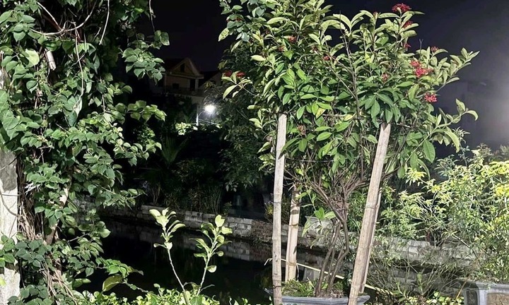 3 trẻ mầm non chết đuối ở Ninh Bình, có 2 cháu sinh đôi