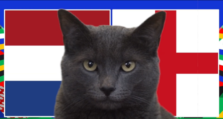 Nhận định, soi kèo trận Anh vs Hà Lan EURO 2024 2h ngày 11/7: Mèo Cass “ái mộ” Tam sư